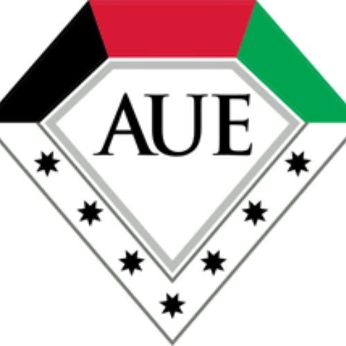 American University In The Emirates
