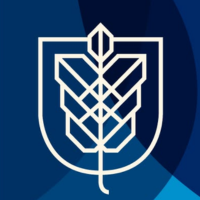 Hult Dubai
